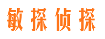 临港寻人公司